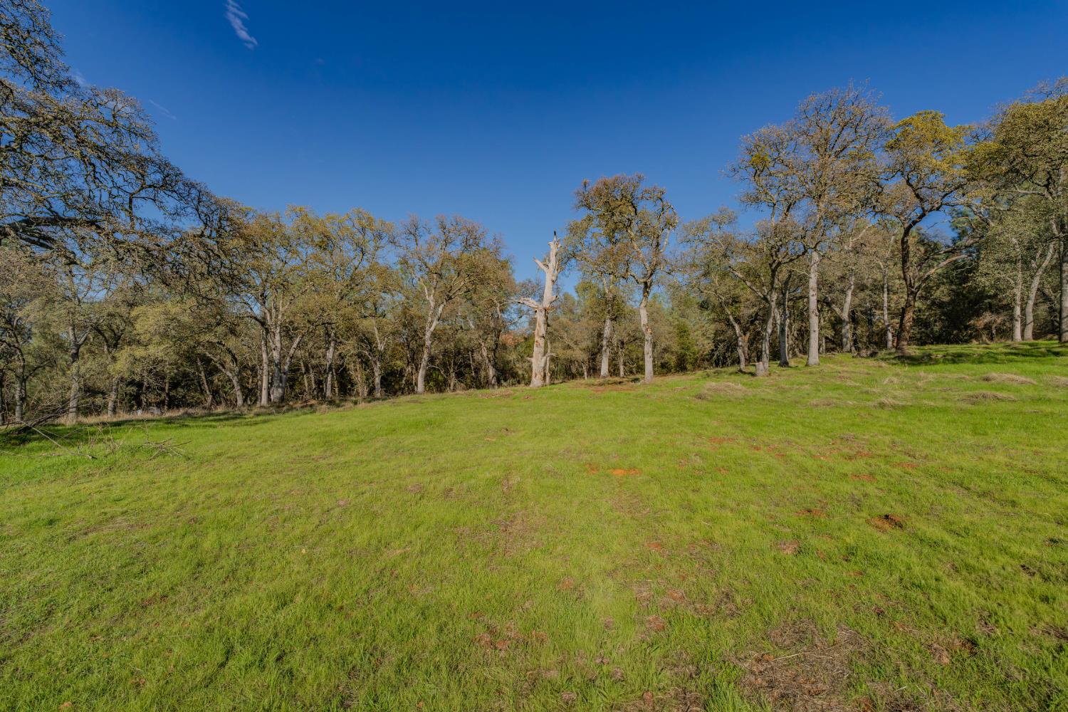 0 North Oak Ridge Circle El Dorado, CA 95623 - Photo 6 of 15
