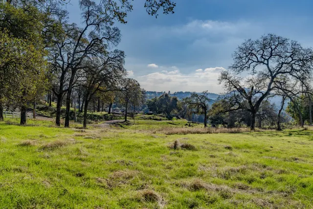 a view of yard with trees