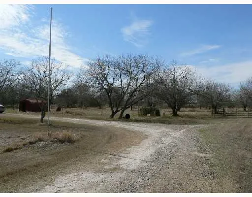 a view of a yard with a tree