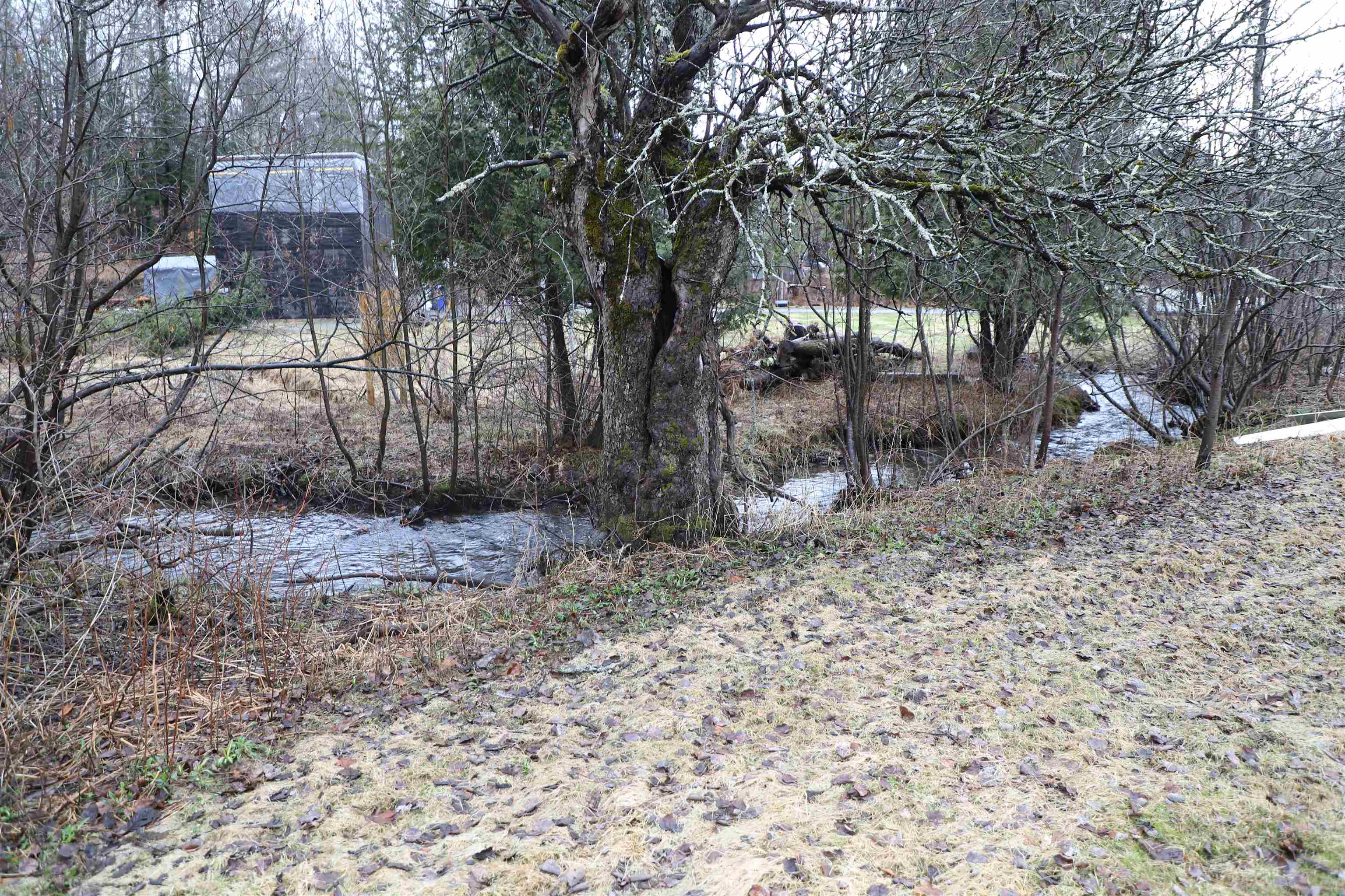 17 Robinson Road Lincoln, VT 05443 - Photo 25 of 28