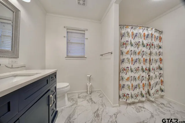 a bathroom with a granite countertop sink a toilet and shower curtain