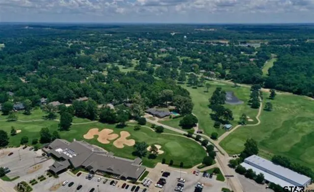 a view of a garden with a lake