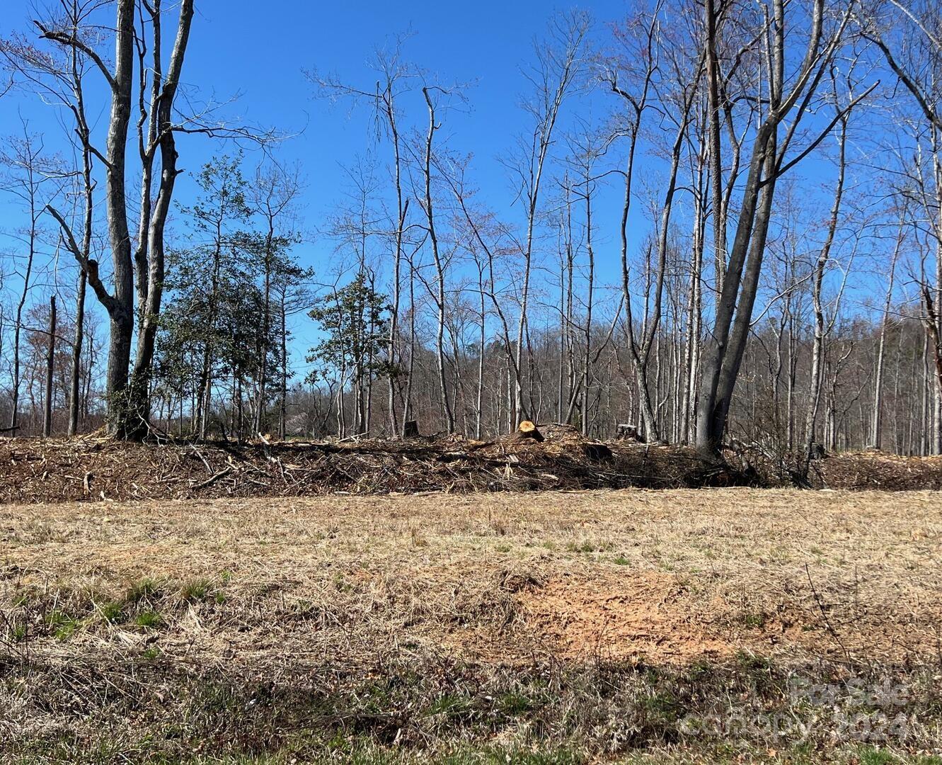 0 Absher Road Traphill, NC 28685 - Photo 2 of 10 a view of a yard covered with snow