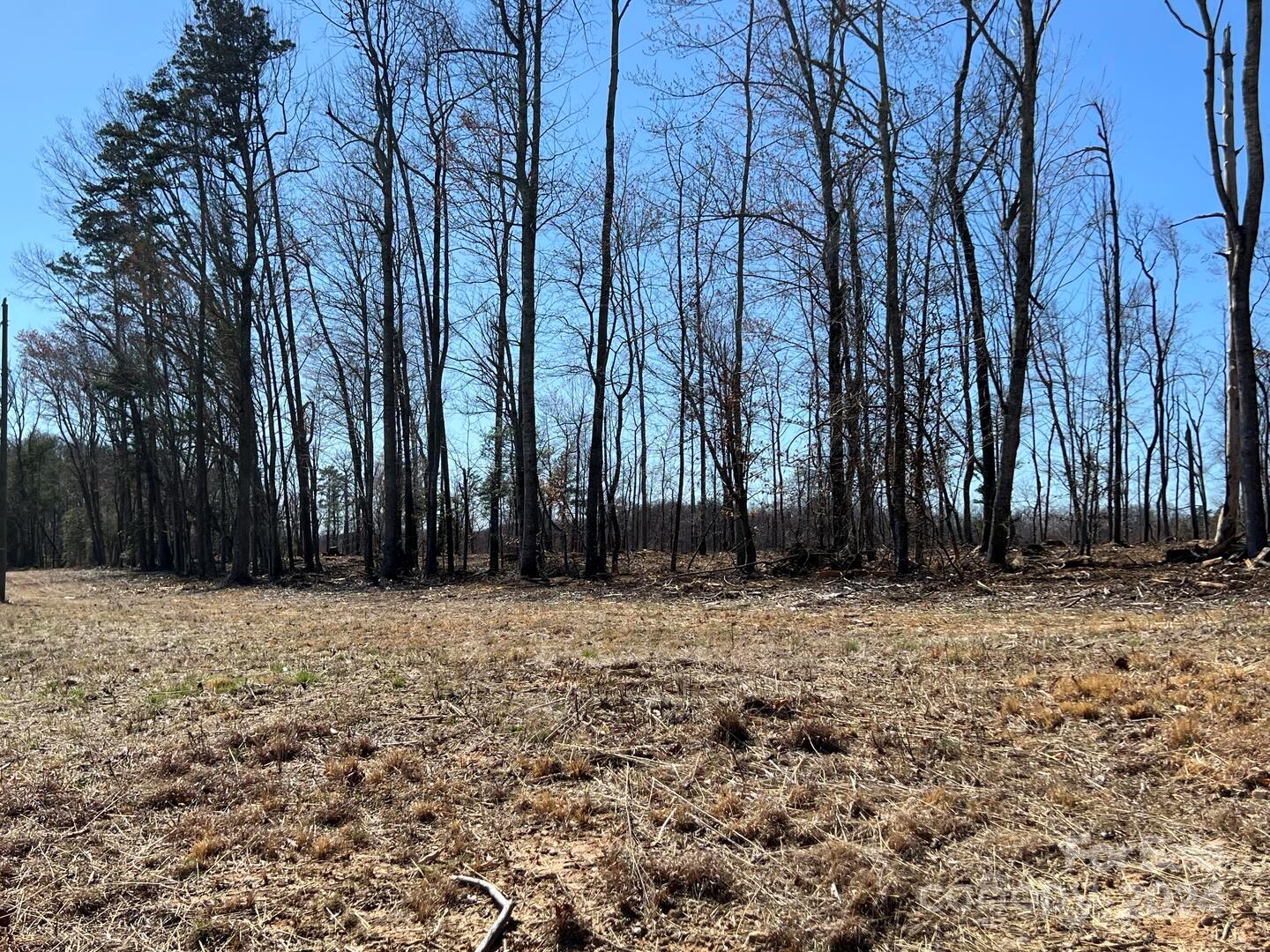 0 Absher Road Traphill, NC 28685 - Photo 4 of 10 a view of a yard with trees