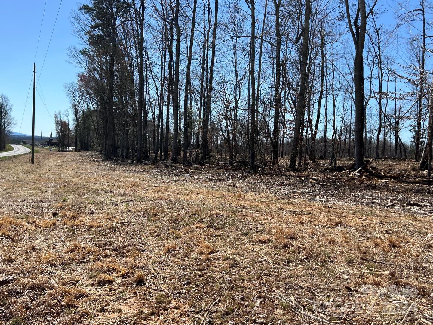 0 Absher Road Traphill, NC 28685 - Photo 5 of 10 a view of outdoor space with trees