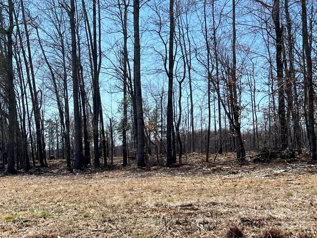 a view of outdoor space with lots of trees