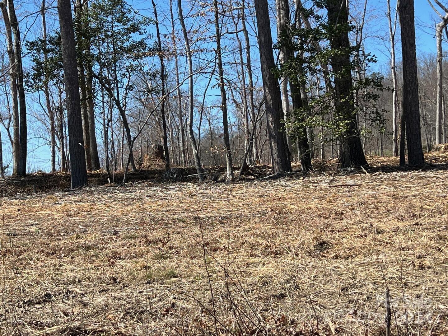 0 Absher Road Traphill, NC 28685 - Photo 7 of 10 a view of wooden fence and trees