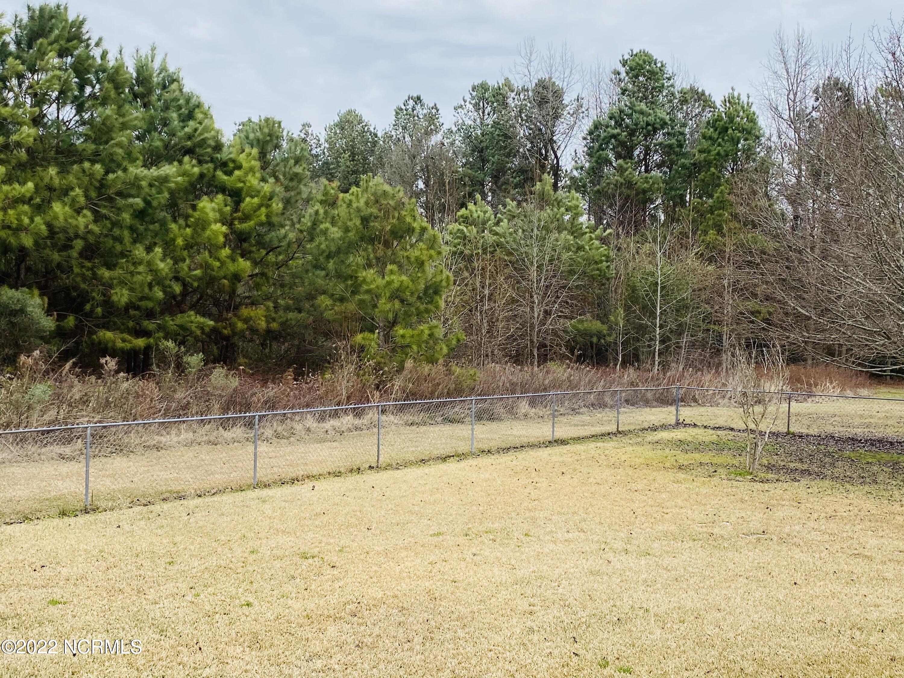 2221 Grantham School Road Mount Olive, NC 28365 - Photo 20 of 22 IMG_4784