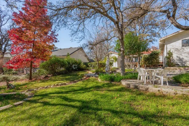 a view of garden with trees