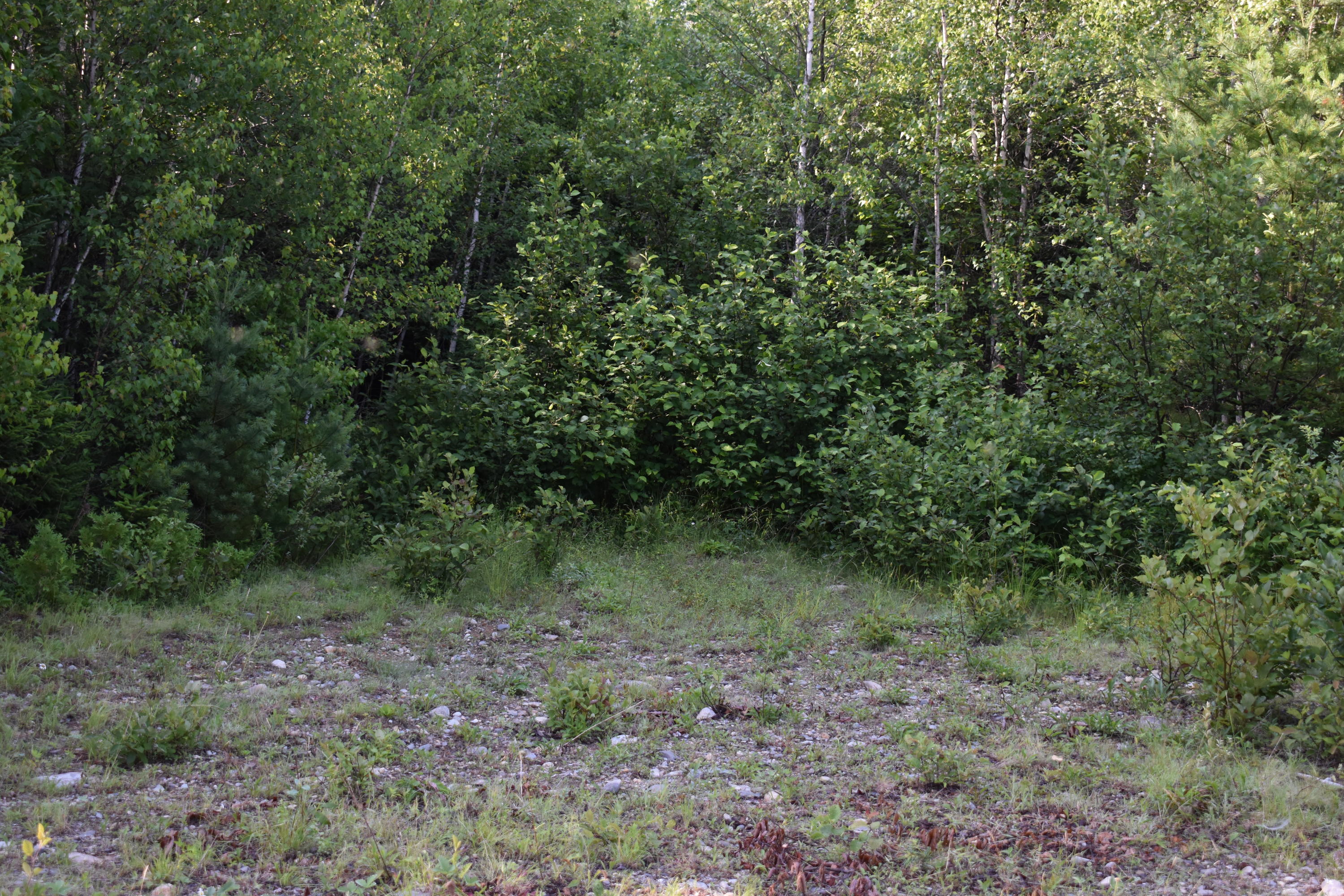 Tbd West Tbd W Indian Road Lincoln, ME 04457 - Photo 15 of 18 DSC_0042