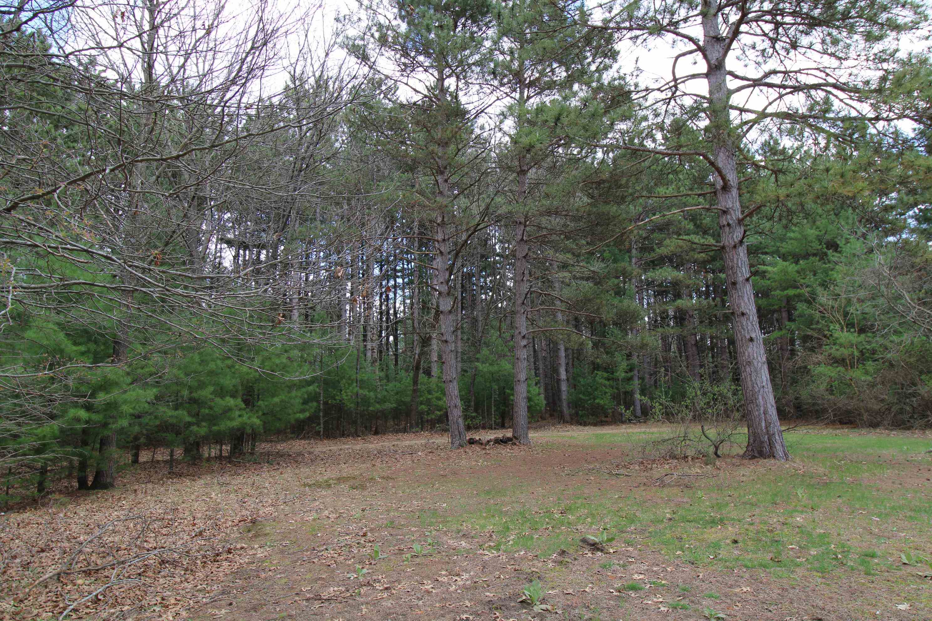 N3928 Oak Ridge Drive Montello, WI 53949 - Photo 20 of 22