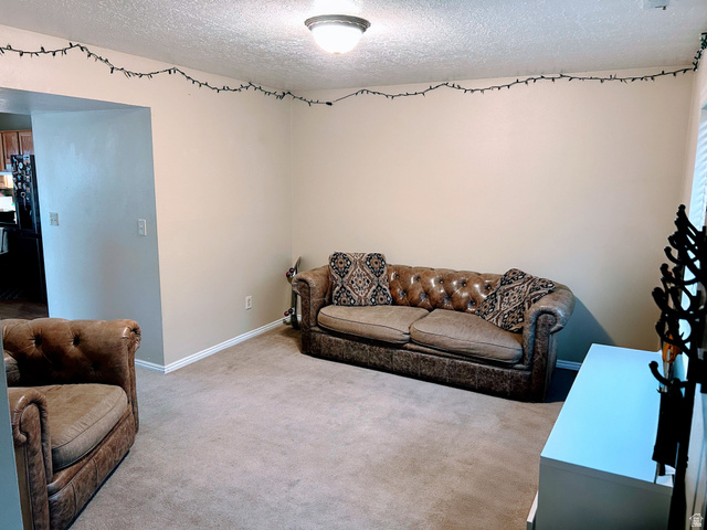 939 South Freedom Boulevard, Unit 13 Provo, UT 84601 - Photo 4 of 26 Living area featuring a textured ceiling and carpet