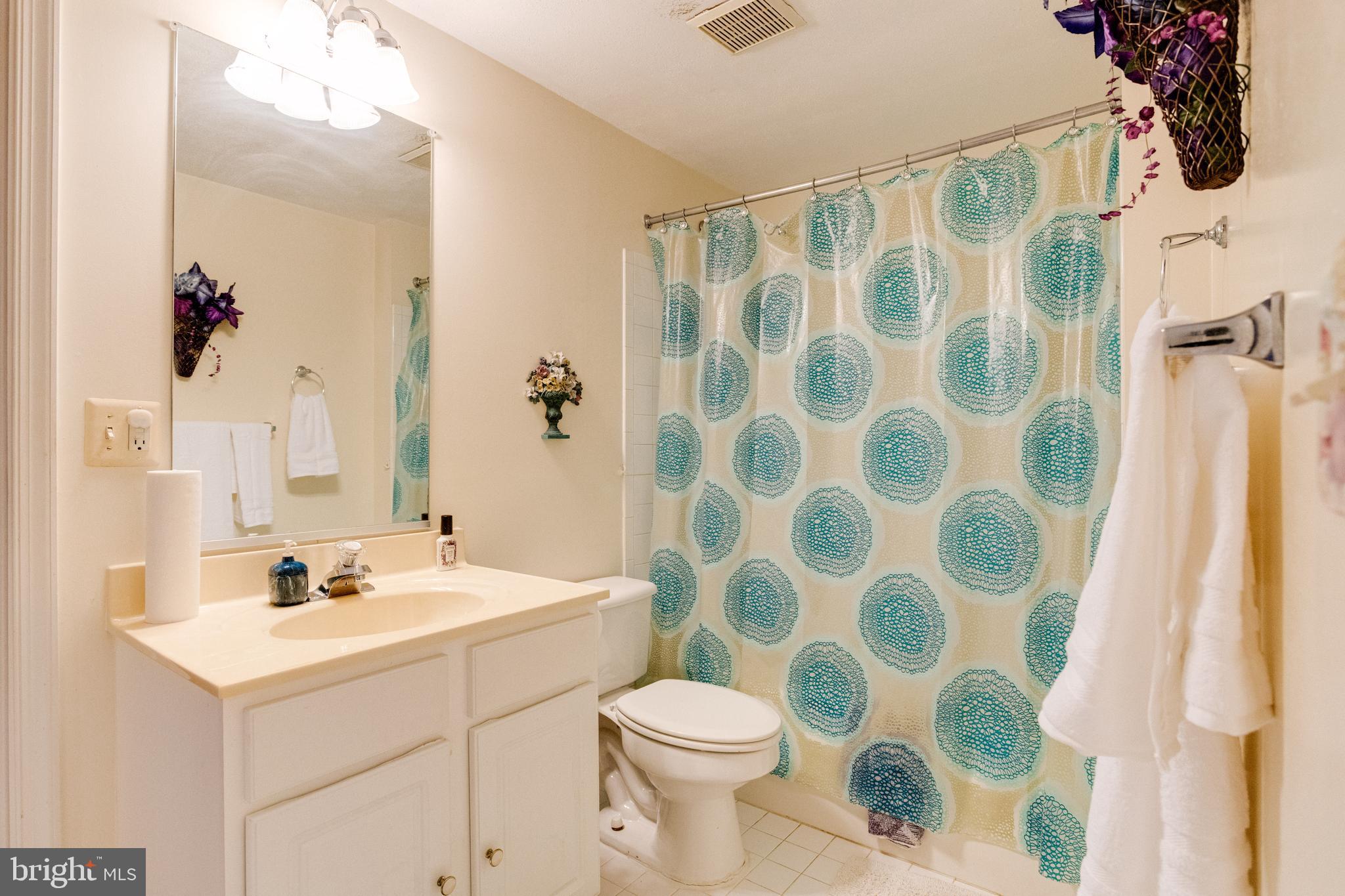 9753 Starling Road Ellicott City, MD 21042 - Photo 73 of 81 Gallery Image 73