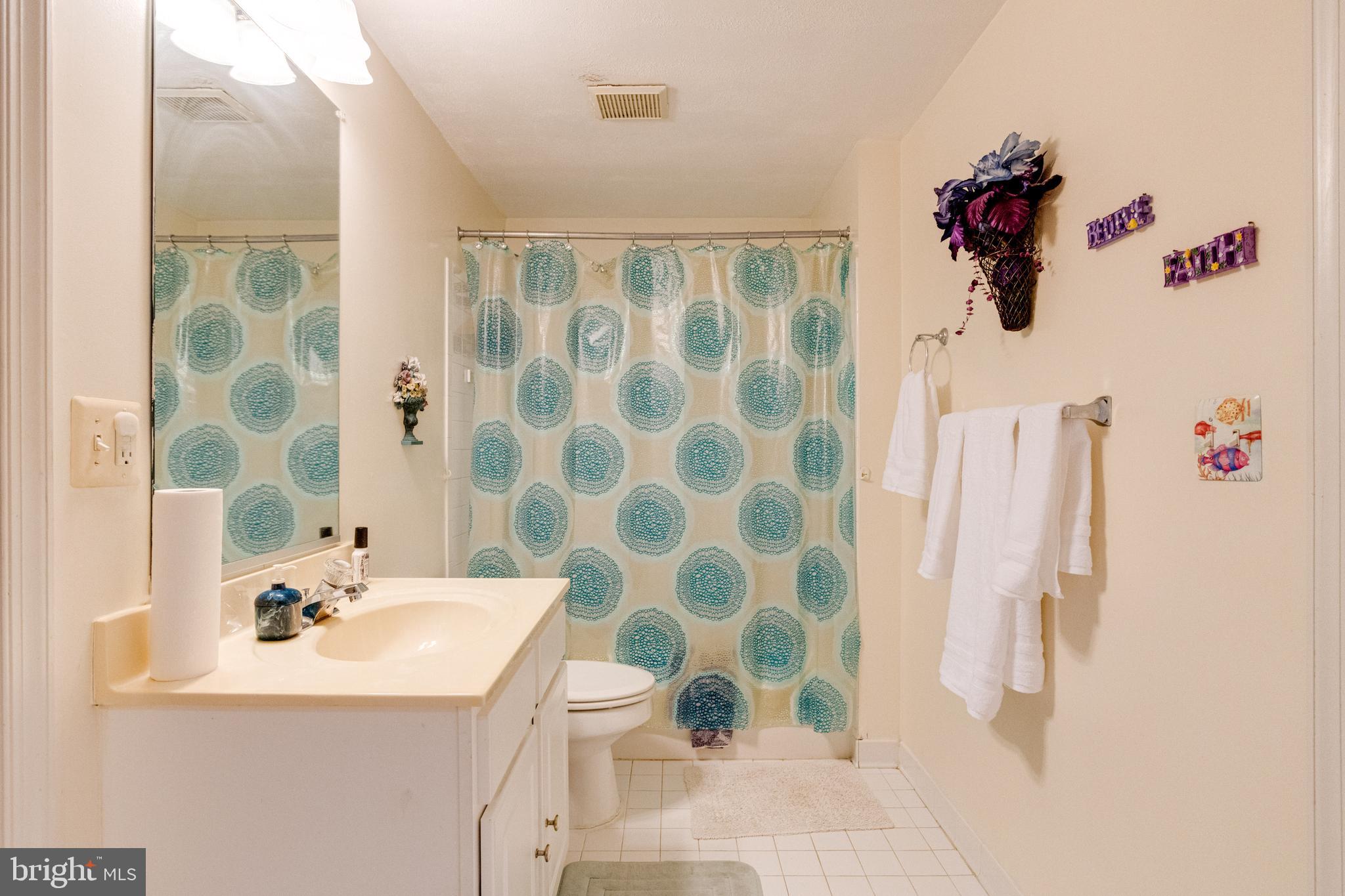 9753 Starling Road Ellicott City, MD 21042 - Photo 74 of 81 Gallery Image 74