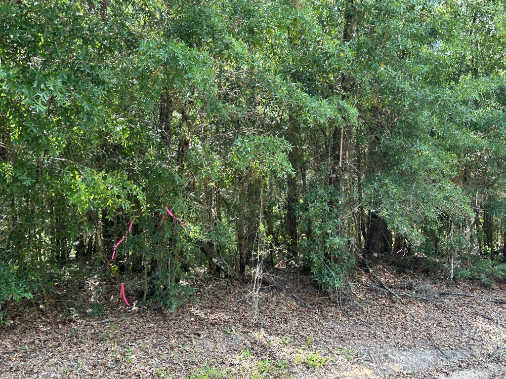 19.16-ac 19.16-ac Ramer Loop Cottonwood, AL 36320 - Photo 18 of 34