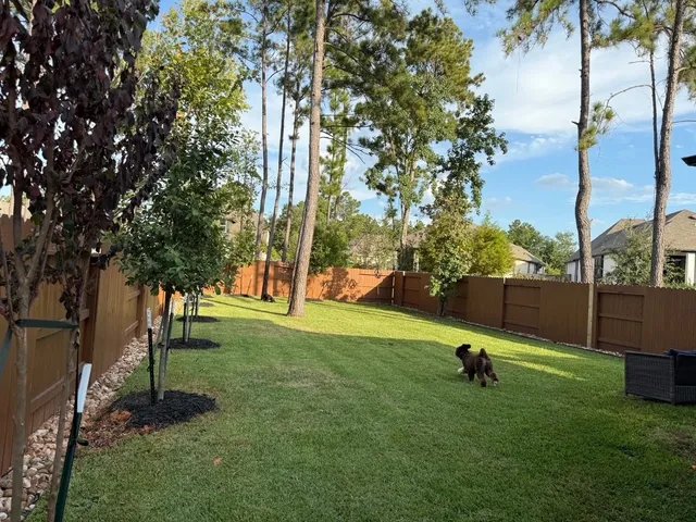 $550,000 | 221 Sky Top Drive, Montgomery, TX 77316