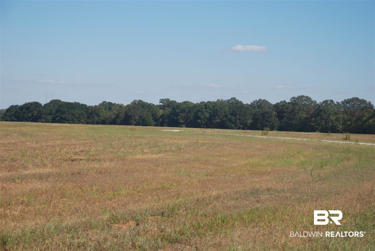 21 Jimmie Phillips Road Sawyerville, AL 36776 - Photo 39 of 41
