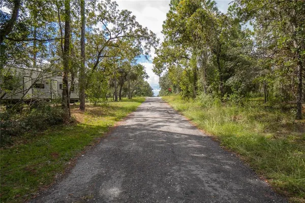 a view of a yard with plants and trees