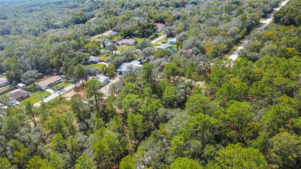 3210 East Michael Street Inverness, FL 34453 - Photo 12 of 21 a view of a house with a tree
