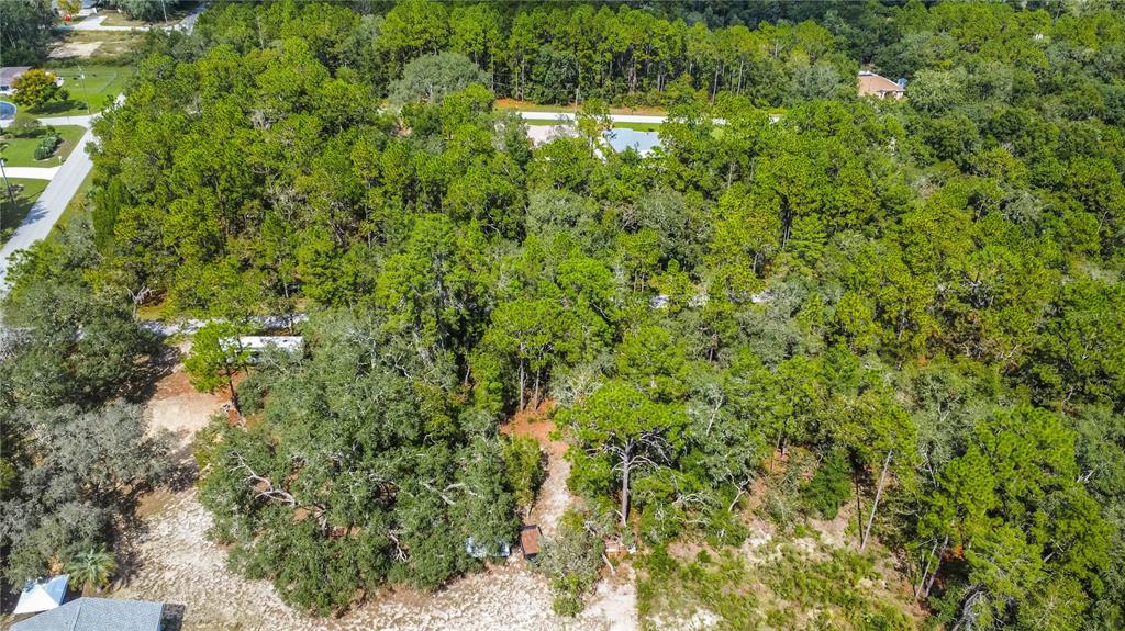 3210 East Michael Street Inverness, FL 34453 - Photo 16 of 21 a view of a yard