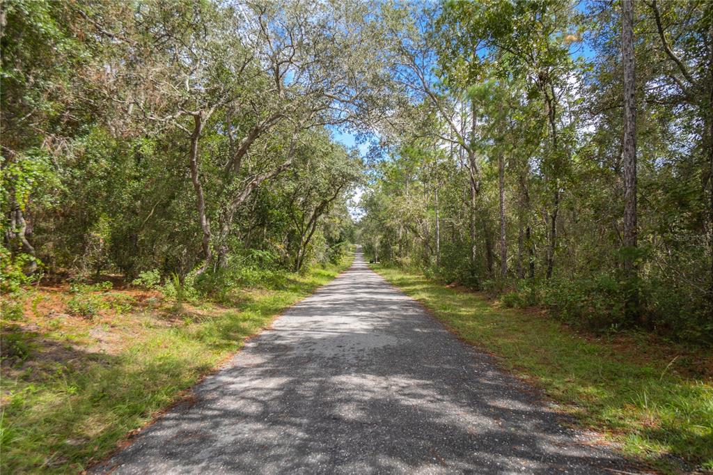 3210 East Michael Street Inverness, FL 34453 - Photo 21 of 21 a view of dirt yard with a trees