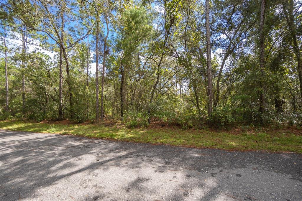 3210 East Michael Street Inverness, FL 34453 - Photo 3 of 21 a view of outdoor space with trees