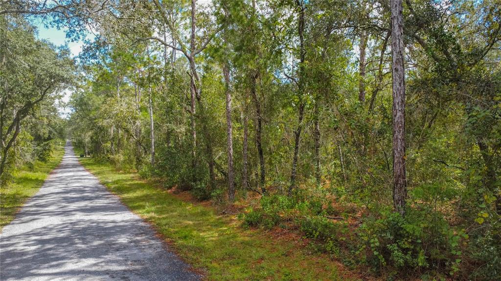 3210 East Michael Street Inverness, FL 34453 - Photo 5 of 21 a view of a pathway of a park