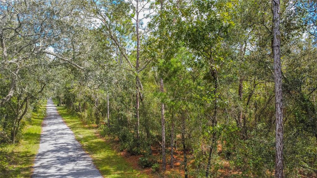 3210 East Michael Street Inverness, FL 34453 - Photo 6 of 21 a view of a pathway both side of yard