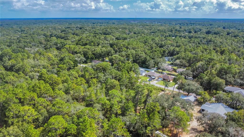 3210 East Michael Street Inverness, FL 34453 - Photo 8 of 21 a view of a field of grass and trees