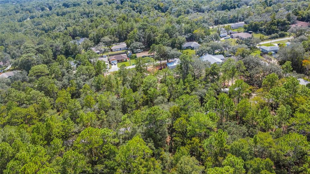 3210 East Michael Street Inverness, FL 34453 - Photo 10 of 21 an aerial view of a house with a yard