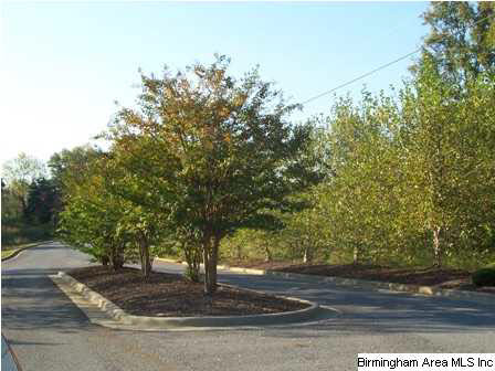 Waterford Way, Unit 2 Jacksonville, AL 36265 - Photo 4 of 7