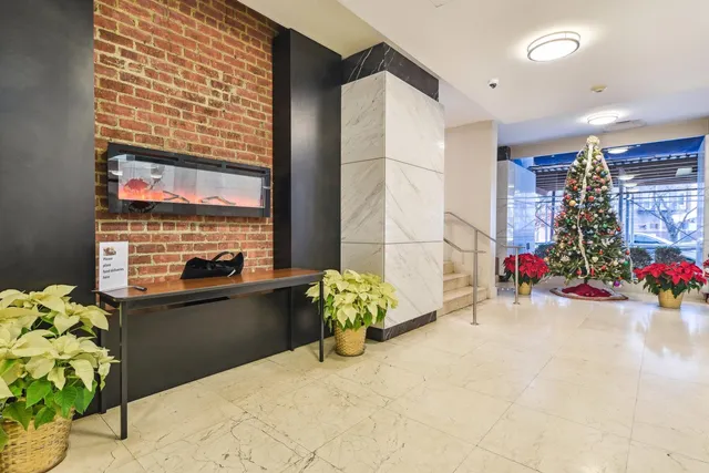a living room filled with furniture and a potted plant