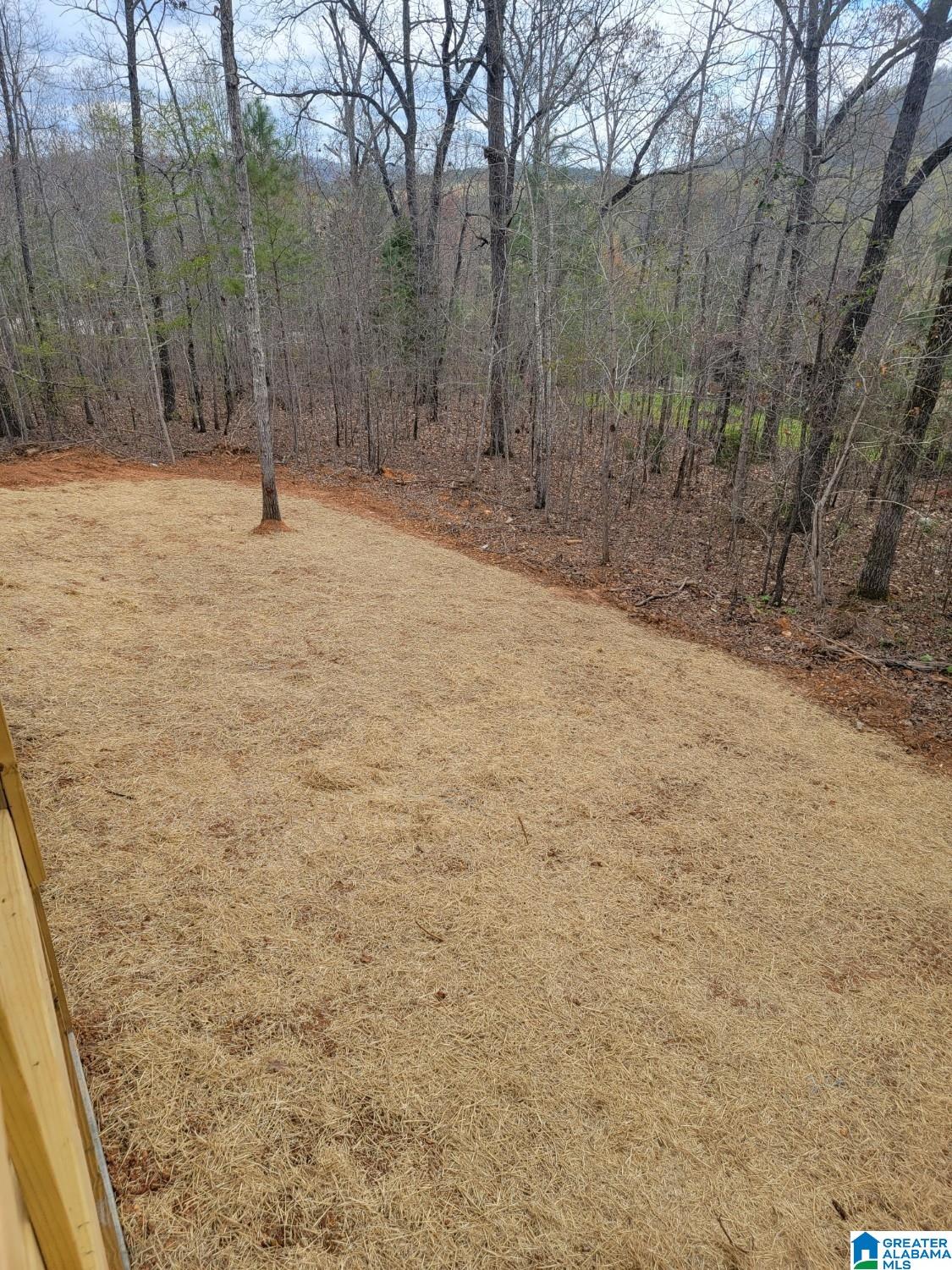 7961 Forest Loop Pinson, AL 35126 - Photo 5 of 23