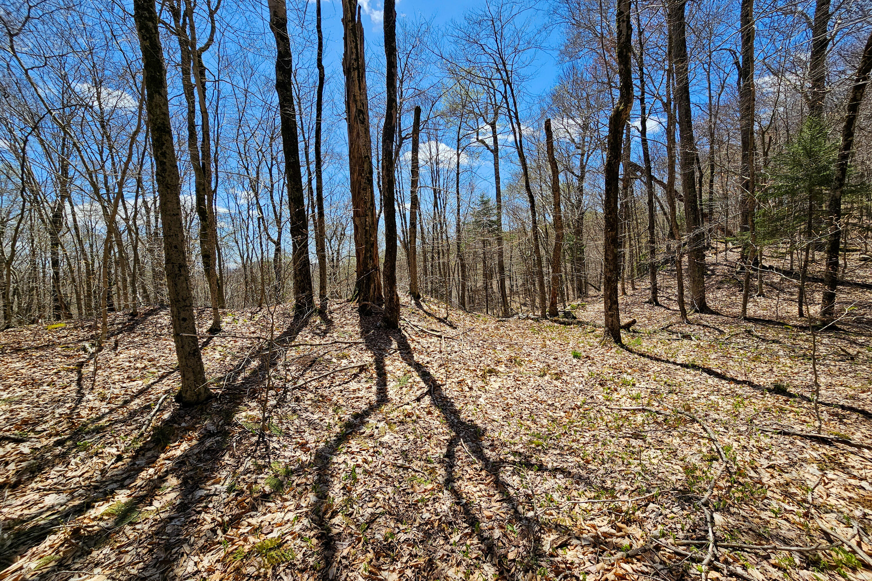 0 Palisades Road West Old Forge, NY 13420 - Photo 6 of 15 Filtered Mountain Views