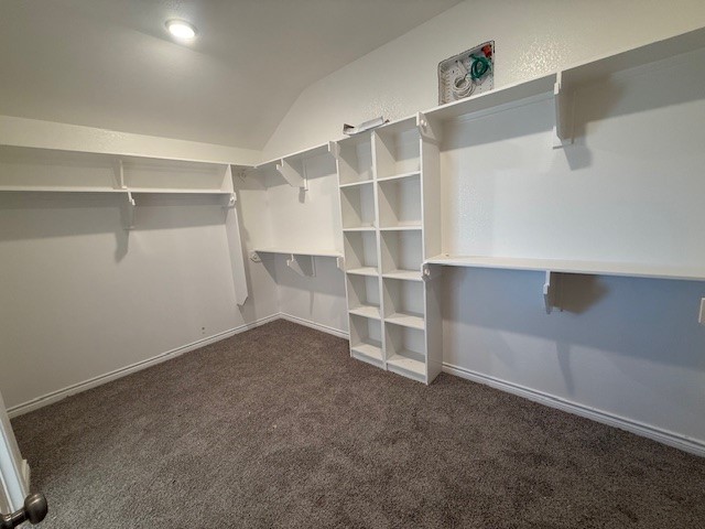 7802 Redbud Road Navasota, TX 77868 - Photo 24 of 24 a view of an empty room with shelves