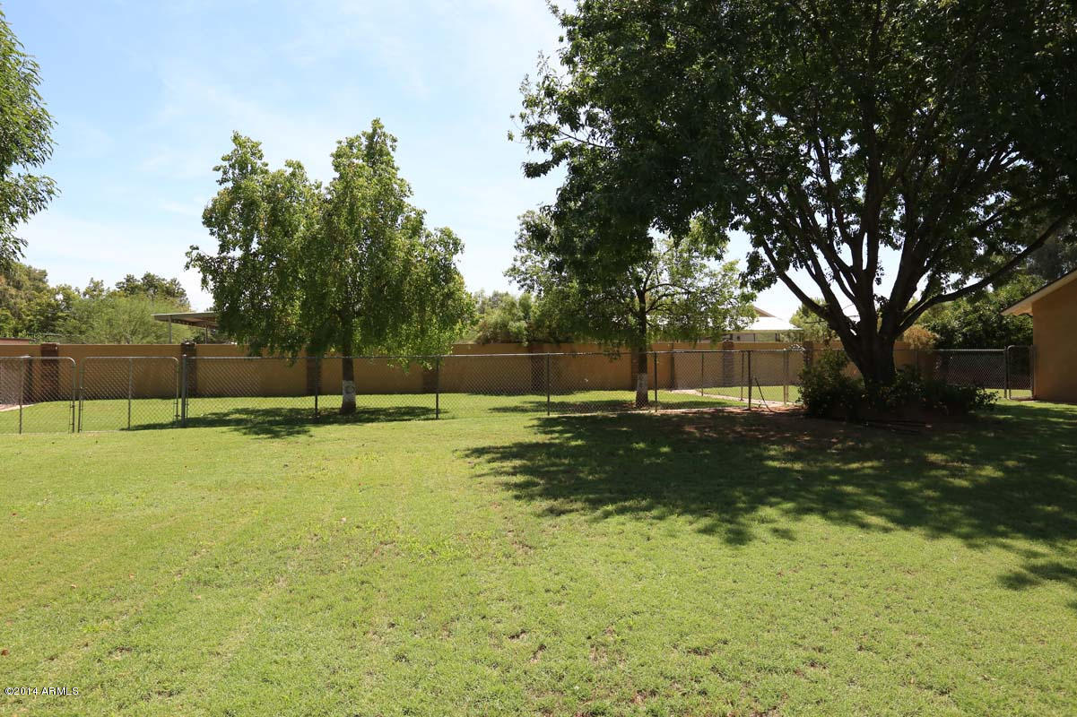 3440 East Campbell Road Gilbert, AZ 85234 - Photo 31 of 50 Backyard2
