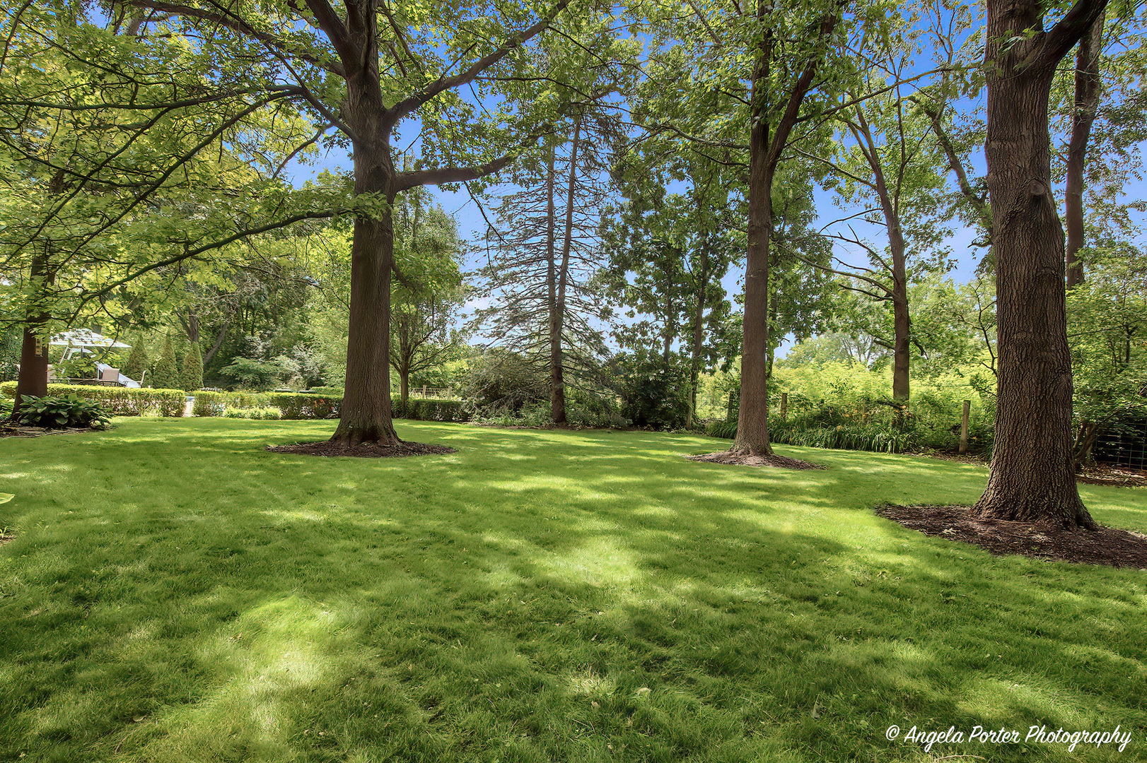 8919 Tahoe Lane Spring Grove, IL 60081 - Photo 13 of 52