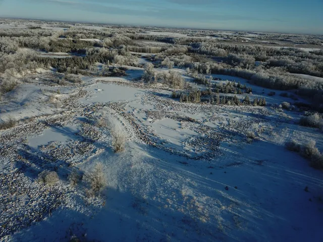 $280,000 | Tbd 161st Avenue, Clearbrook, MN 56634