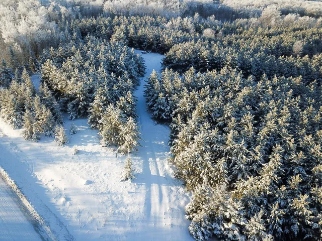 $280,000 | Tbd 161st Avenue, Clearbrook, MN 56634