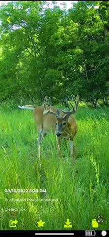 $280,000 | Tbd 161st Avenue, Clearbrook, MN 56634