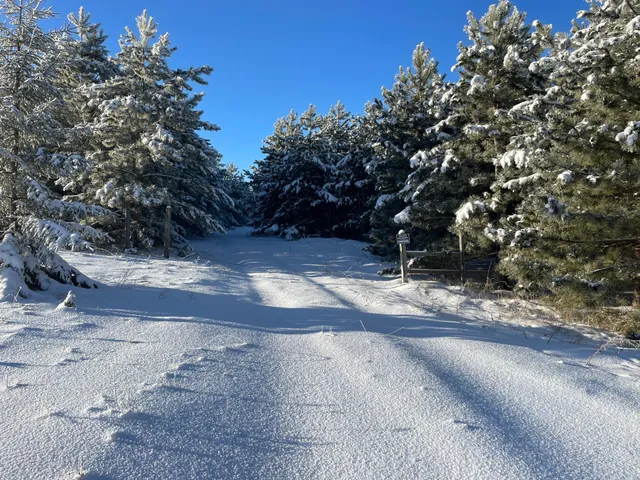 $280,000 | Tbd 161st Avenue, Clearbrook, MN 56634