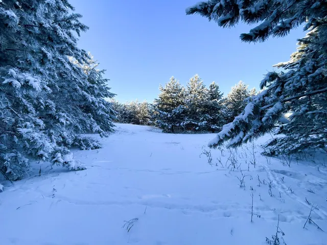 $280,000 | Tbd 161st Avenue, Clearbrook, MN 56634