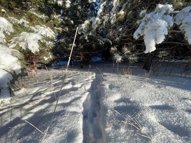 $280,000 | Tbd 161st Avenue, Clearbrook, MN 56634