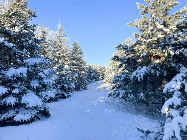 $280,000 | Tbd 161st Avenue, Clearbrook, MN 56634