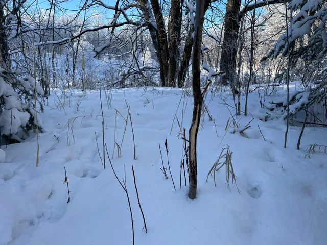 $280,000 | Tbd 161st Avenue, Clearbrook, MN 56634