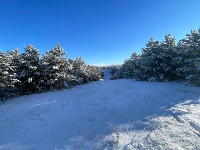 $280,000 | Tbd 161st Avenue, Clearbrook, MN 56634