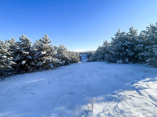 $280,000 | Tbd 161st Avenue, Clearbrook, MN 56634