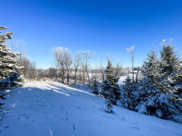 $280,000 | Tbd 161st Avenue, Clearbrook, MN 56634