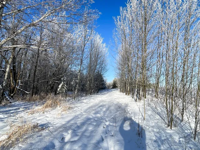 $280,000 | Tbd 161st Avenue, Clearbrook, MN 56634