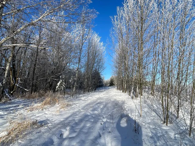 $280,000 | Tbd 161st Avenue, Clearbrook, MN 56634